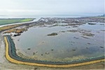 Leque Island Wetlands Restoration (Puget Sound)